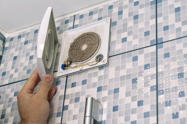 Best Ductwork Cleaning Services  in Constantine, MI
