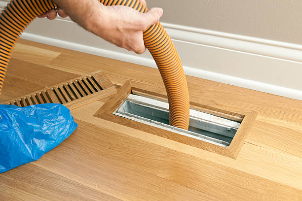 Best Air Duct Sanitizing Services  in Constantine, MI