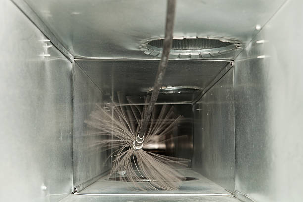 Best Professional Duct Cleaning Services  in Constantine, MI