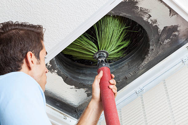 Best Affordable HVAC Duct Cleaning  in Constantine, MI